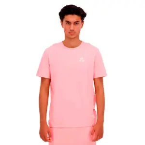 camiseta hombre le coq sportif