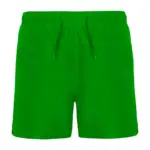 Verde Helecho