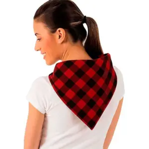 pañuelo cachirulo zaragoza